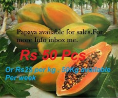 Papaya available for sale every week - Fruits on Aster Vender