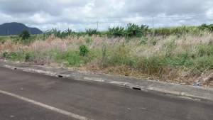 Residential land for sale at Unité, Flacq, Mauritius - Land on Aster Vender