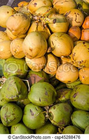 COCONUTS FOR SALE - Other foods and drinks on Aster Vender