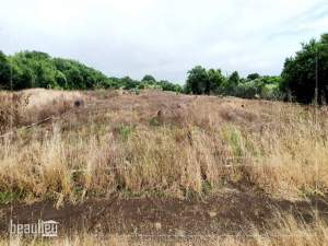 Agricultural land of 80 perches is for sale in Ile D'ambre.  - Land on Aster Vender