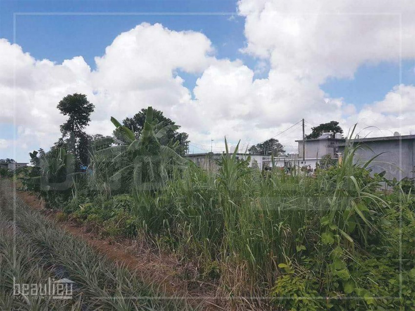 * *11,5 Perches Residential land in Mont ida * *   - 0 - Land  on Aster Vender