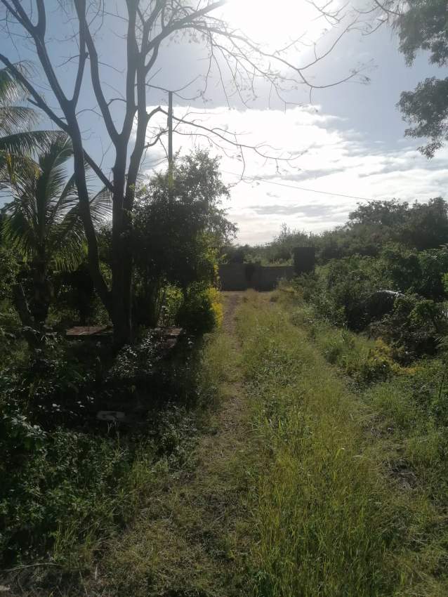 Land for sale at Calodyne - 3 - Land  on Aster Vender