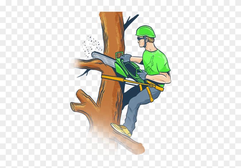 Tree cutting - 0 - Cleaning services  on Aster Vender