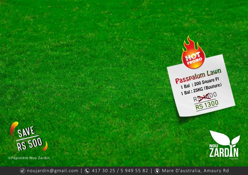 Paspalum Lawn Promo - Call on 59495582 - 0 - Plants and Trees  on Aster Vender