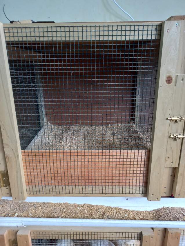 Chicken cage for sale - 2 - Poultry  on Aster Vender