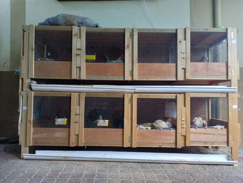 Chicken cage for sale - 0 - Poultry  on Aster Vender