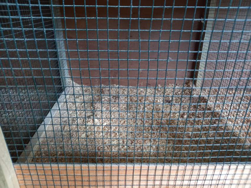 Chicken cage for sale - 1 - Poultry  on Aster Vender