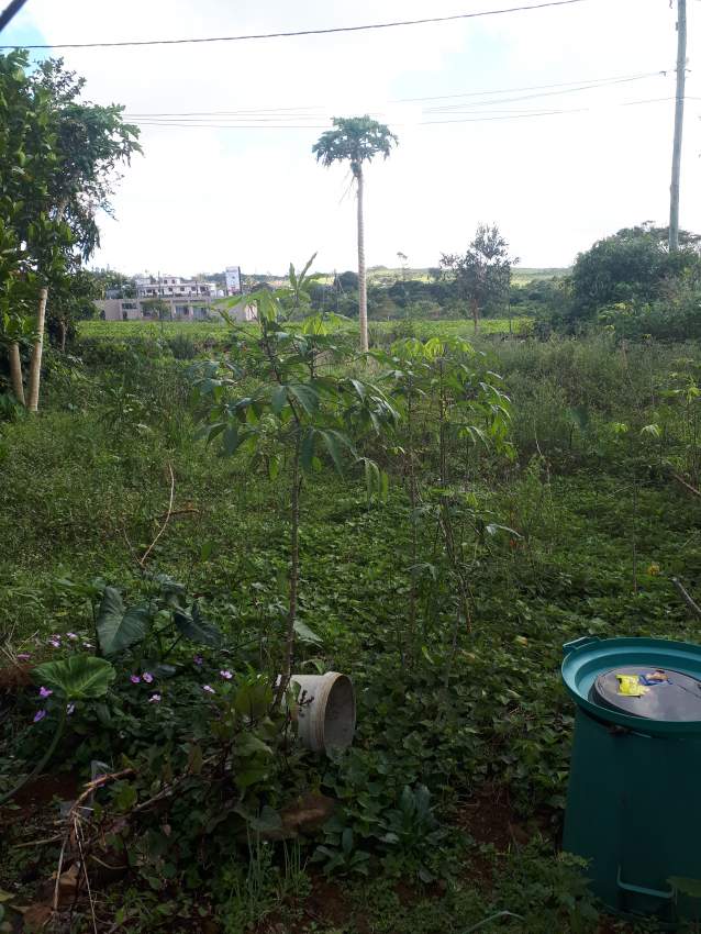 Residential land for sale  - 0 - Land  on Aster Vender