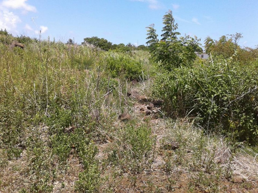 Terrain a vendre - 2 - Land  on Aster Vender