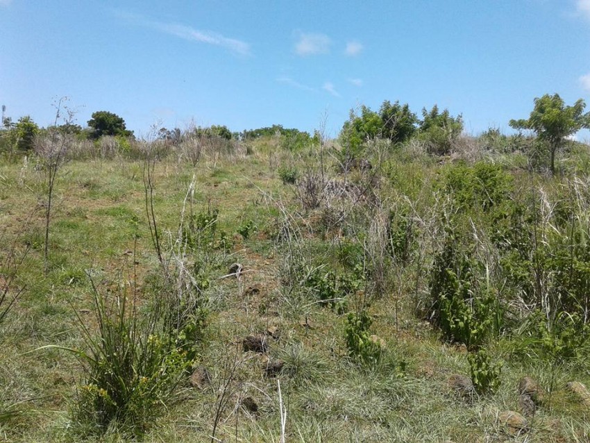 Terrain a vendre - 0 - Land  on Aster Vender