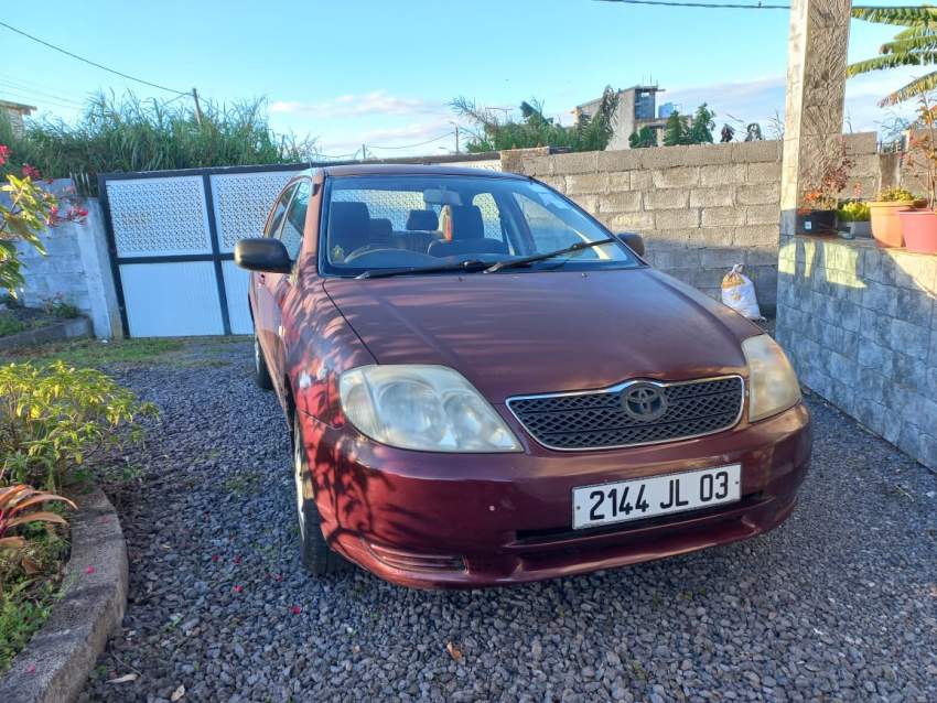 Toyota Corolla - 0 - Family Cars  on Aster Vender