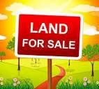 12 PERCHES IN SOLFERINO 5 - 0 - Land  on Aster Vender