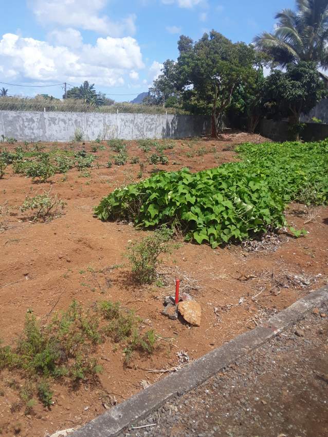 12 PERCHES - LA MARIE - 0 - Land  on Aster Vender