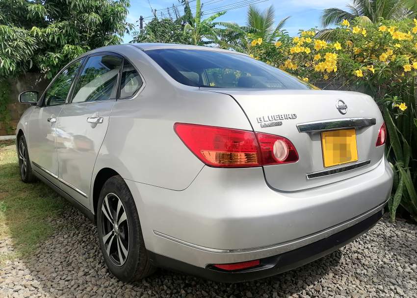 Nissan Bluebird Sylphy - 1 - Family Cars  on Aster Vender