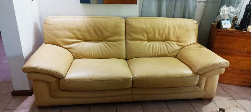 2  fauteuils en Buffle - 1 - Sofas couches  on MauriCar