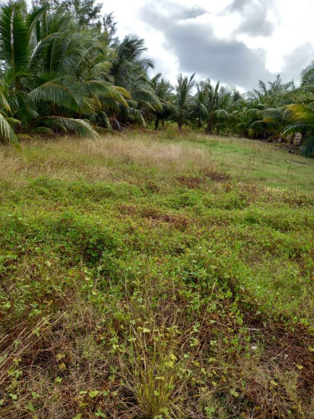 25 Perches Land for sale near St Felix beach - 3 - Beach Houses  on Aster Vender