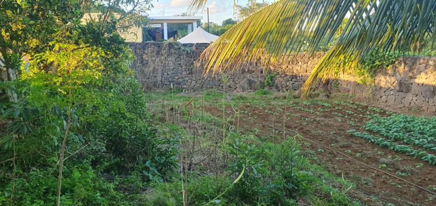 Residential Land for Sale Quatre Cocos - 7 - Land  on Aster Vender