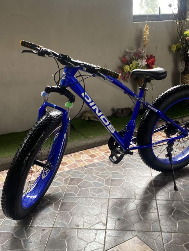 Fat Bike Dinos - 0 - Mountain bicycles  on Aster Vender