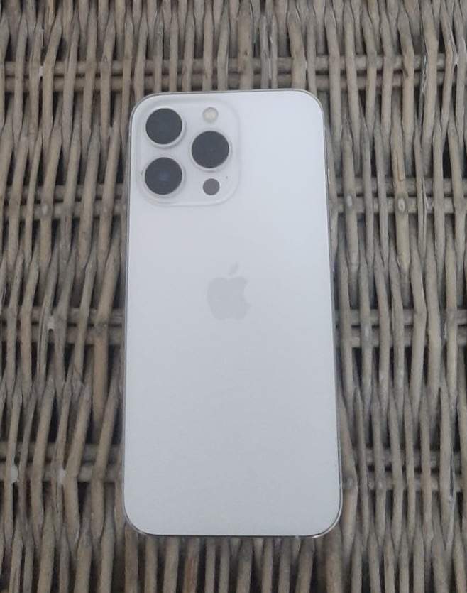 APPLE iPhone 13 Pro 256Gb / Silver