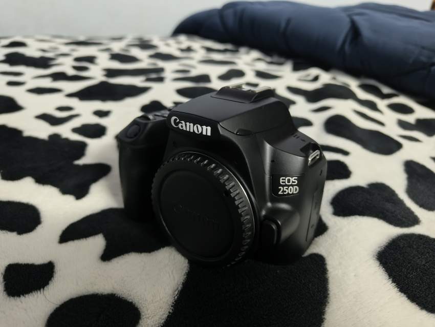 Canon EOS 250D Camera - 0 - All electronics products  on Aster Vender