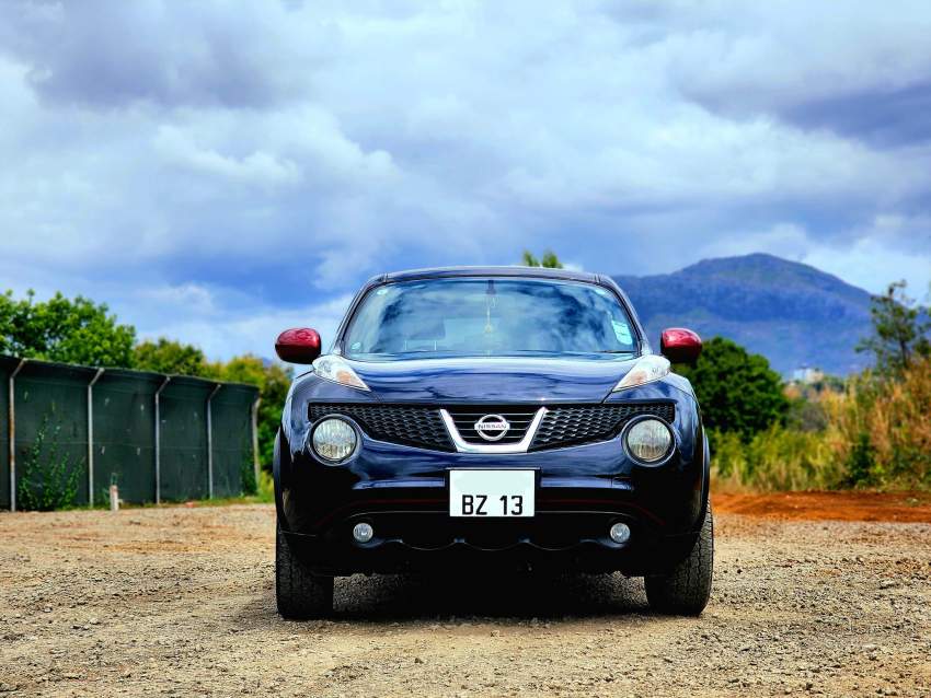 Nissan juke-2013