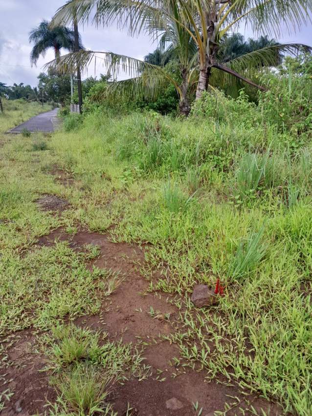 Land for sale at La Flora - 1 - Land  on MauriCar