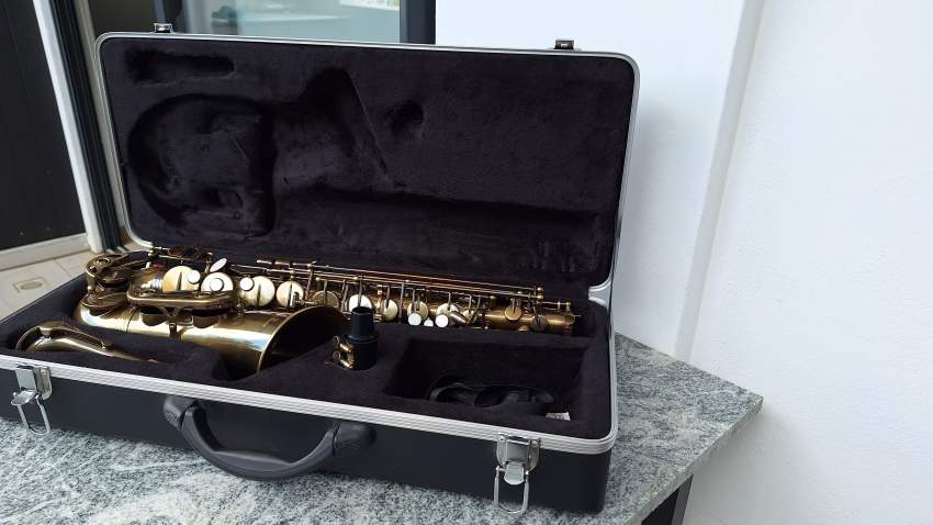 Alto Risetone Saxophone-Lightly used - 4 - Saxophone  on Aster Vender