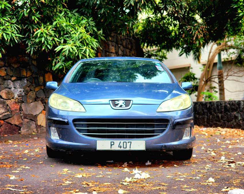 Peugeot 407-2008