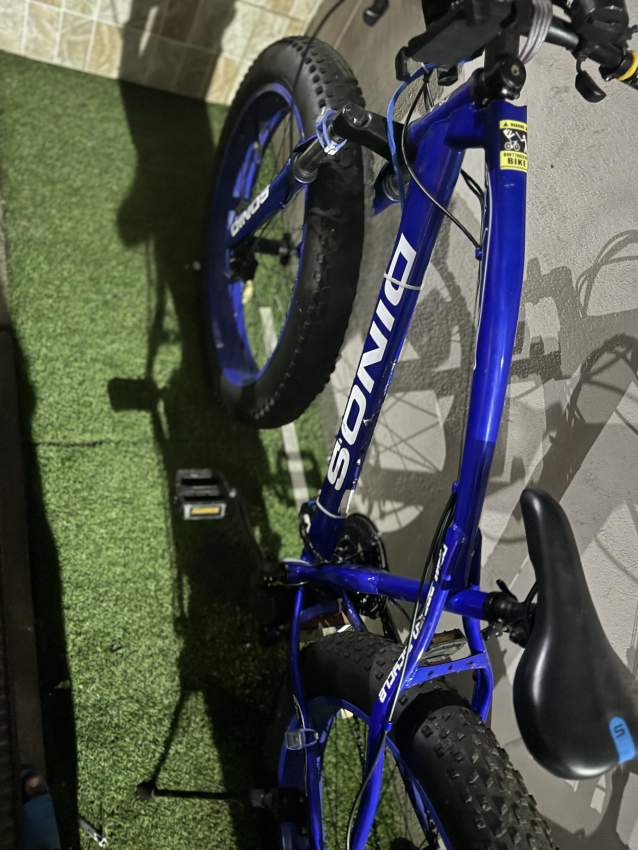 Fat bike - 0 - Road bicycles  on Aster Vender