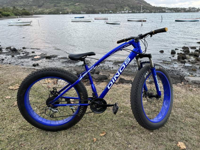 Dinos Fat Bike