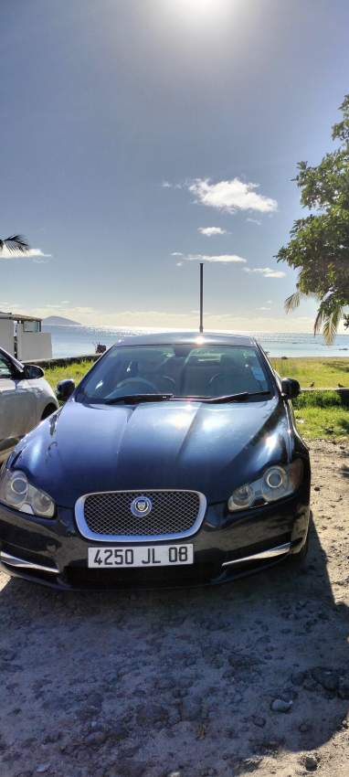 Jaguar xf V6 - 4 - Luxury Cars  on Aster Vender