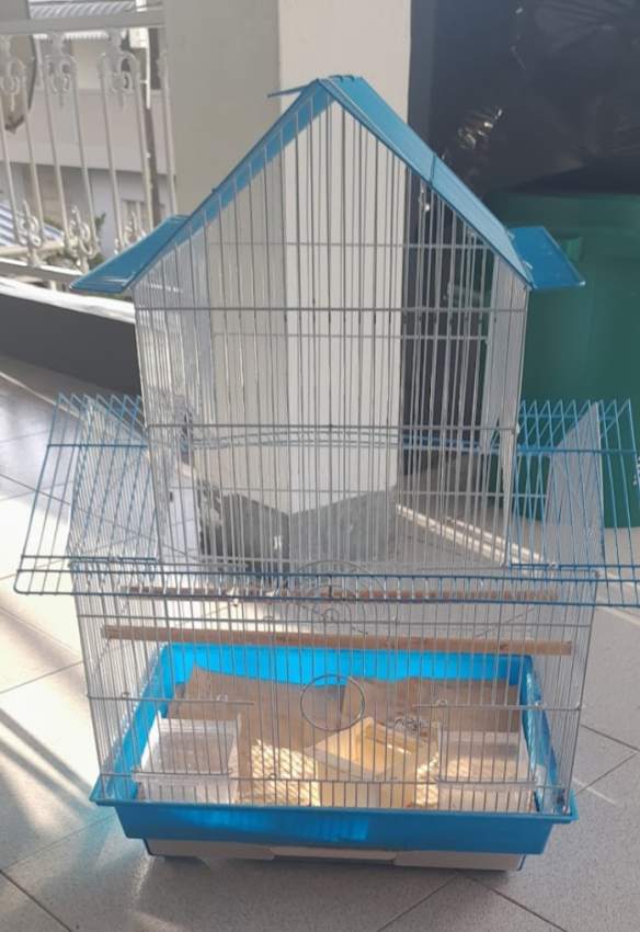 Birds cage