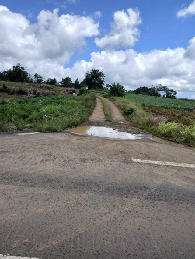 Land 25 perches at Robinson street, la foret, Curepipe