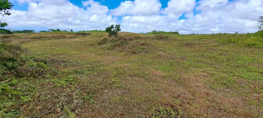 A vendre terrain - 0 - Land  on Aster Vender