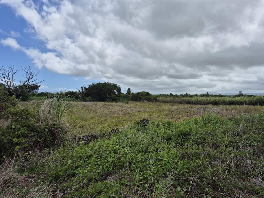 Residential/commercial land for sale