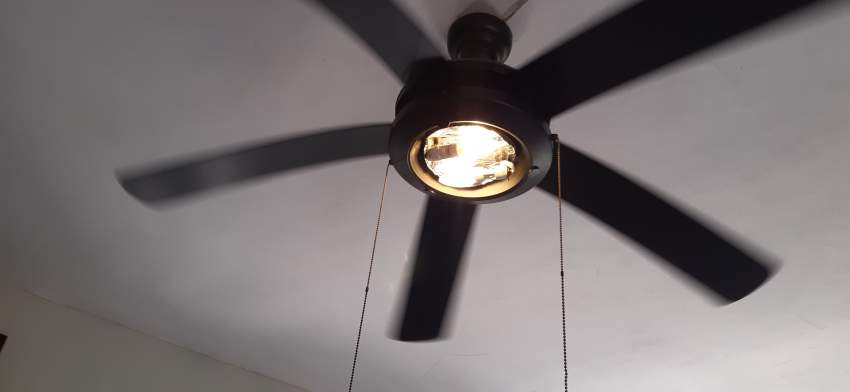 Ceiling fan