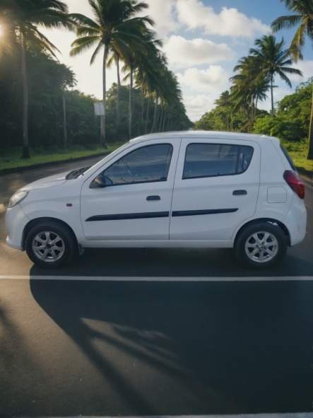 Suzuki Alto - 2 - Compact cars  on Aster Vender