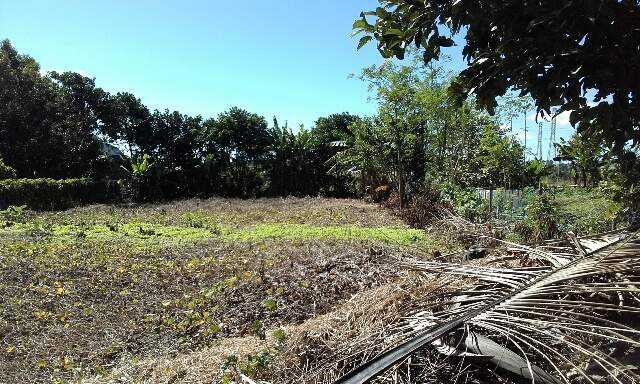 Residential Land-15 P - 0 - Land  on Aster Vender